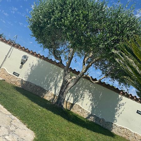 Gold House Luxury Anzio Villa Kültér fotó