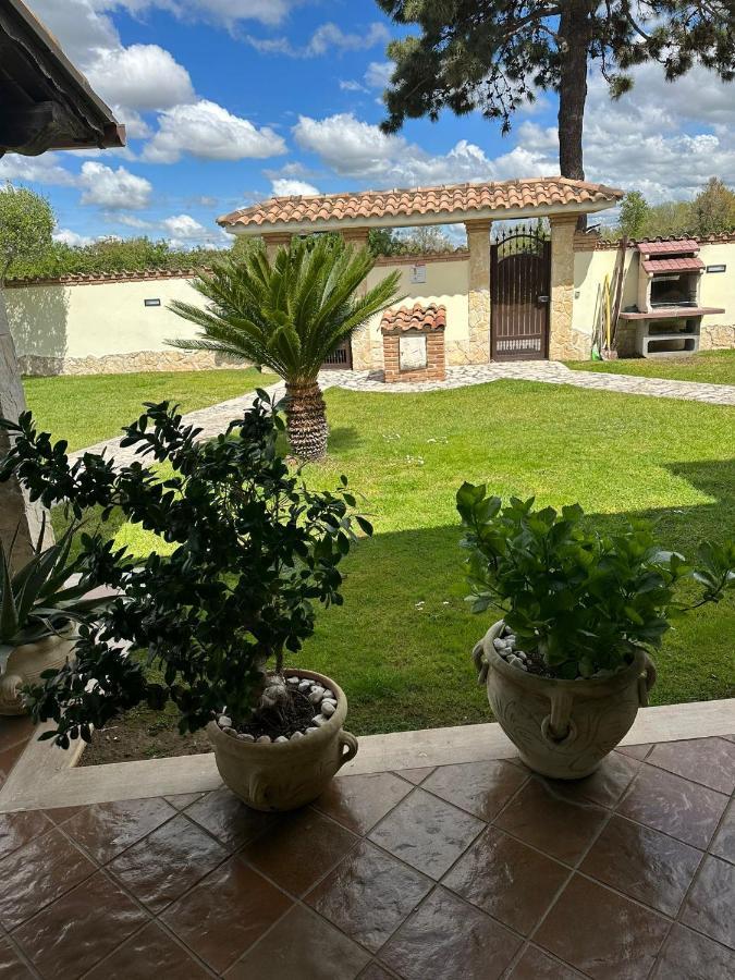 Gold House Luxury Anzio Villa Kültér fotó