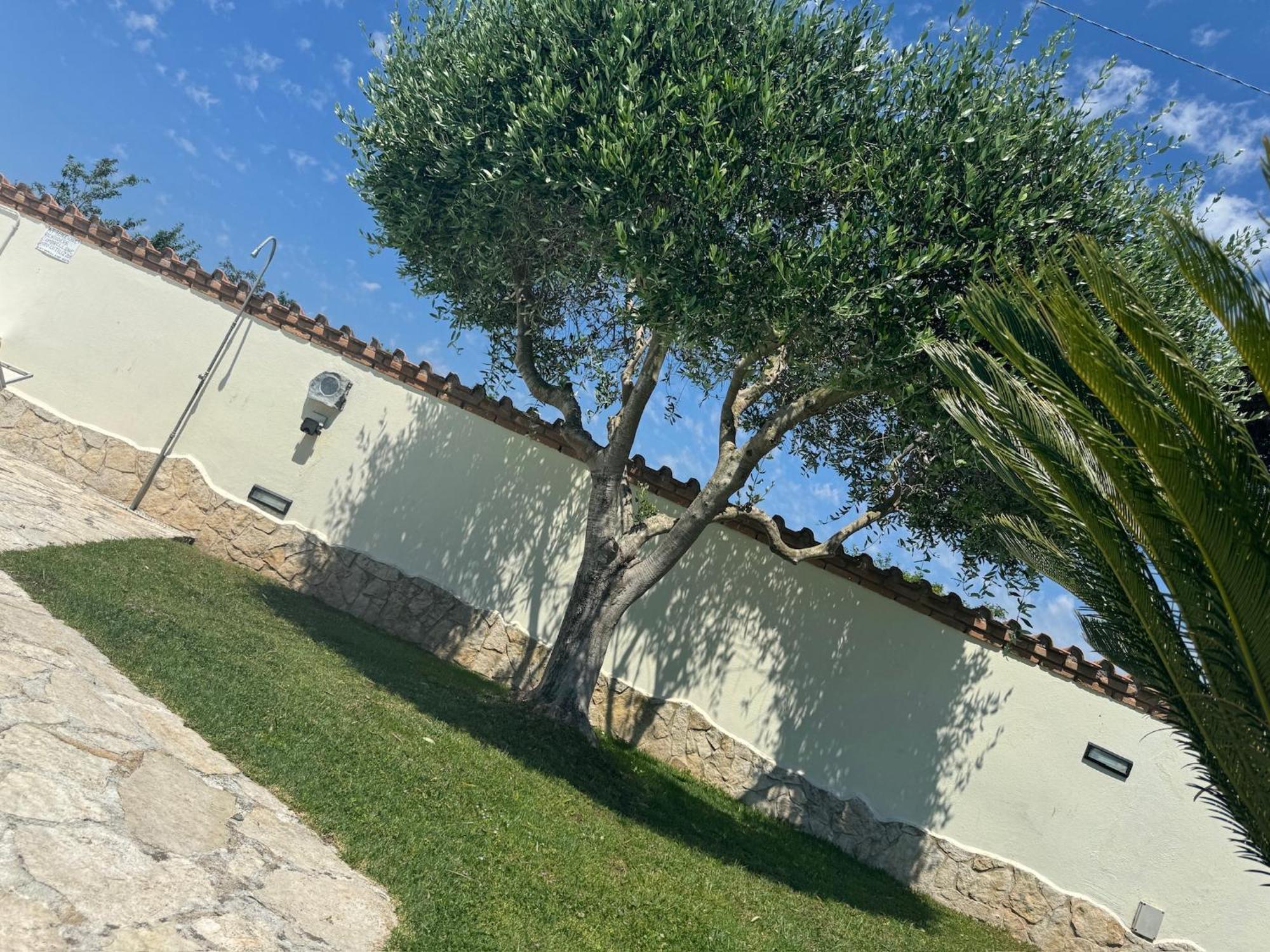 Gold House Luxury Anzio Villa Kültér fotó